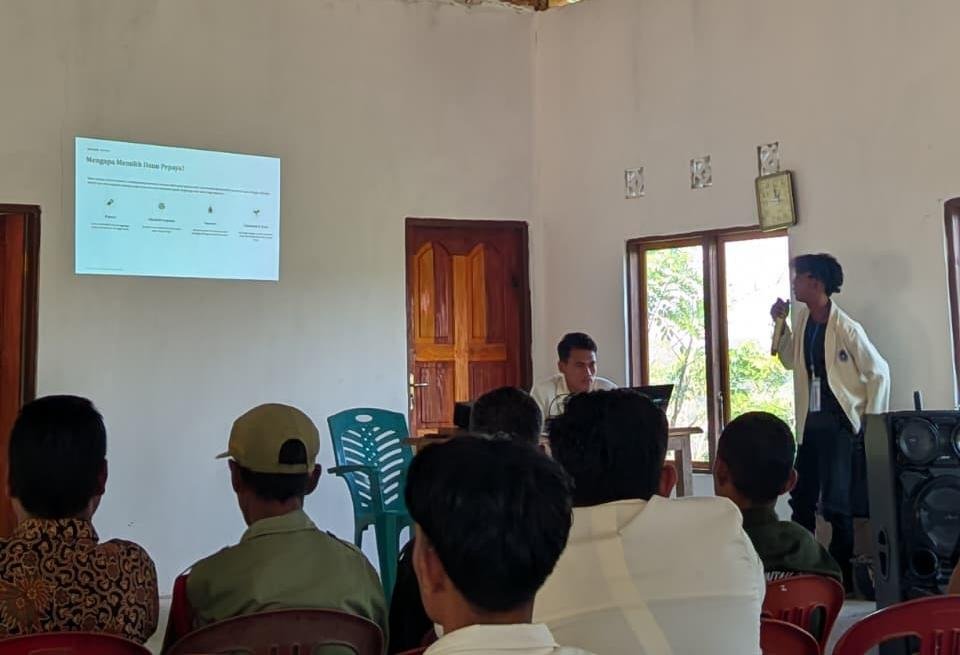 Sosialisasi dan Pemberdayaan Petani Melalui Pembuatan dan Aplikasi Pestisida Nabati Daun Pepaya Untuk Menekan Populasi Hama Walang sangit 
